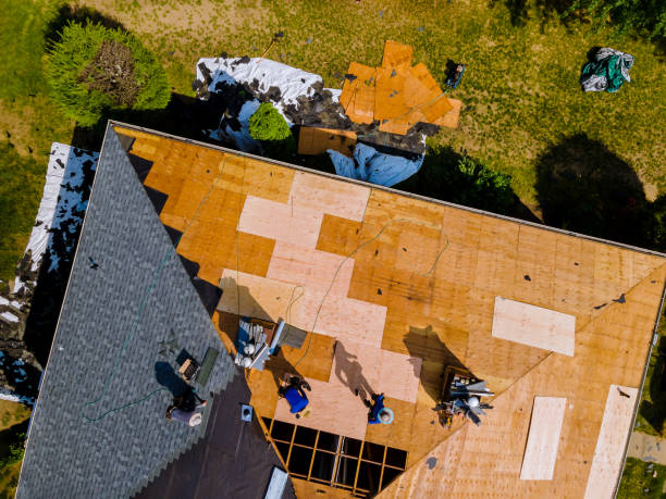 Best Commercial Roofing Services  in Dry Ridge, KY