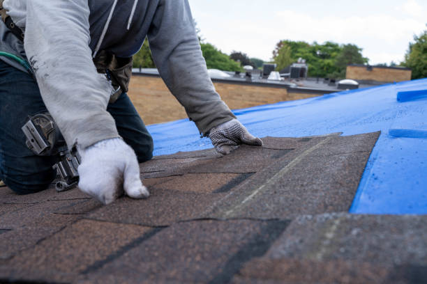 Best Roof Replacement Cost  in Dry Ridge, KY