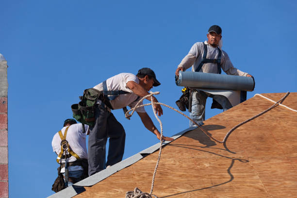 Best Local Roofing Companies  in Dry Ridge, KY